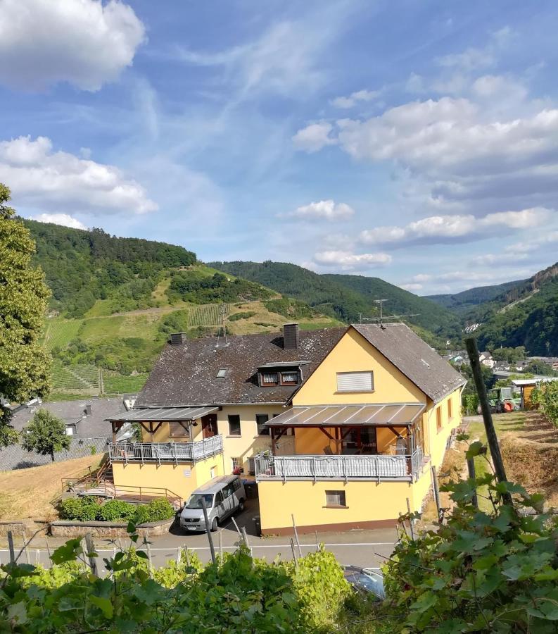 Die Ferienwohnung Lindenhof Zell an der Mosel Εξωτερικό φωτογραφία