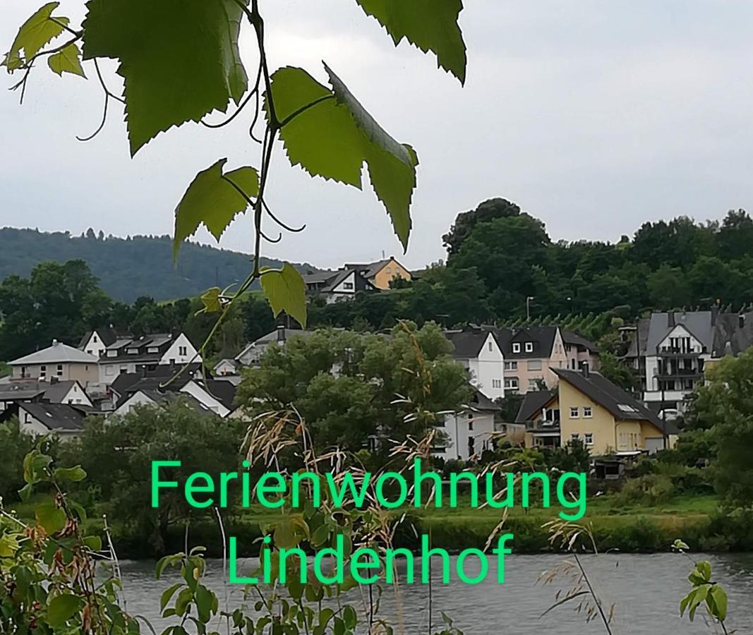 Die Ferienwohnung Lindenhof Zell an der Mosel Εξωτερικό φωτογραφία
