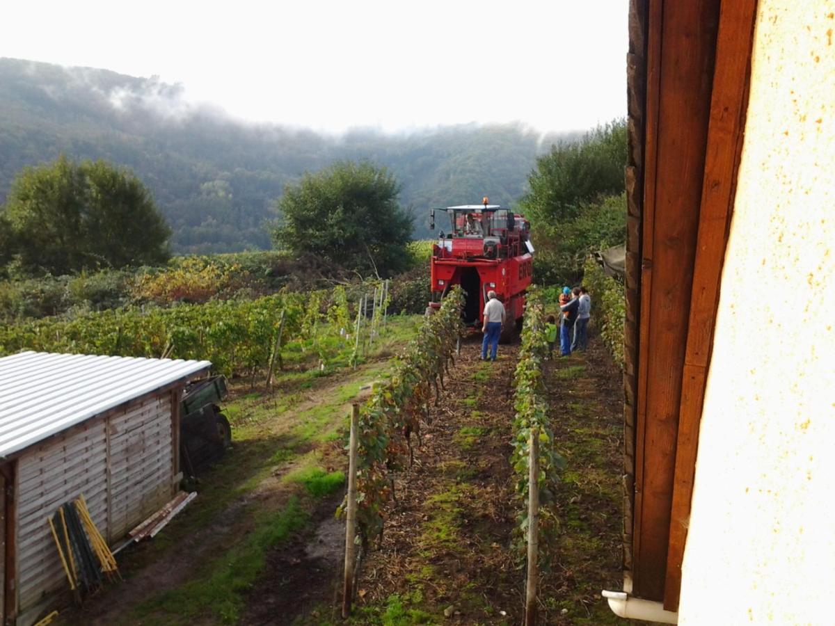 Die Ferienwohnung Lindenhof Zell an der Mosel Εξωτερικό φωτογραφία