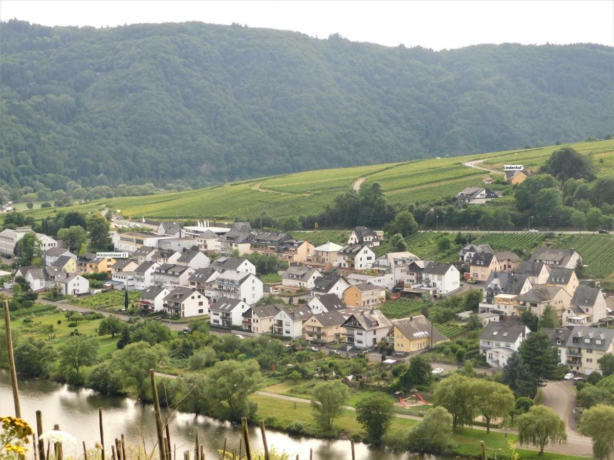 Die Ferienwohnung Lindenhof Zell an der Mosel Εξωτερικό φωτογραφία