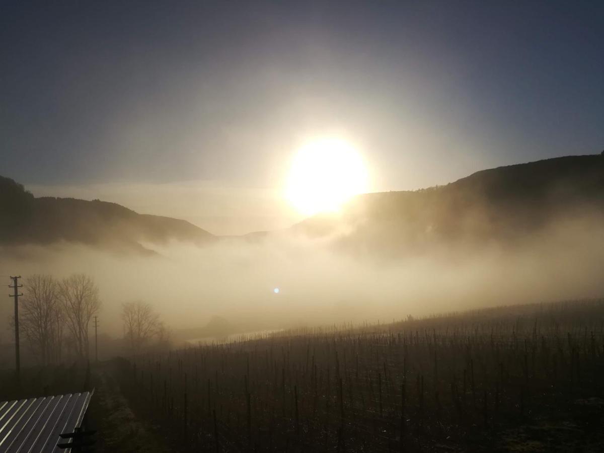 Die Ferienwohnung Lindenhof Zell an der Mosel Εξωτερικό φωτογραφία